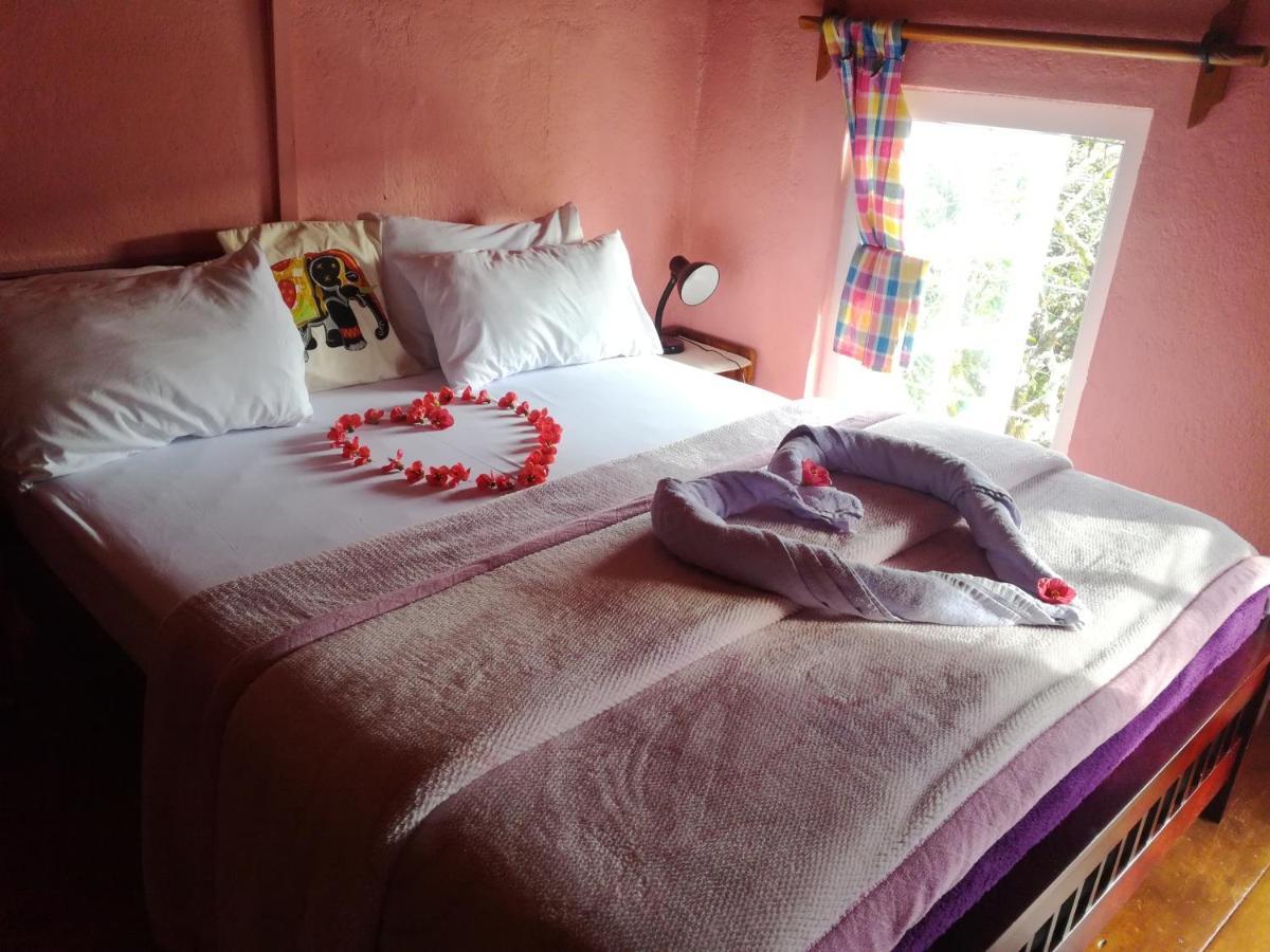 נוארה אליה Sincere Wilderness Home Stay מראה חיצוני תמונה
