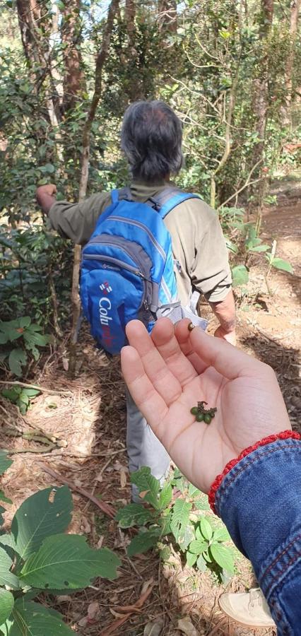 נוארה אליה Sincere Wilderness Home Stay מראה חיצוני תמונה
